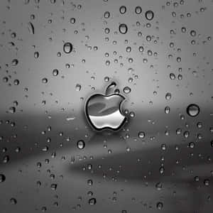 Mørkt søtt iPad