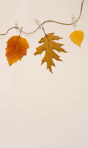 1080x1812 — Lys Bakgrunner