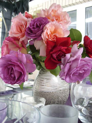 Roseblomst bilder — Roseblomst Bakgrunner