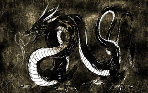 Mystisk svart skjellbelagt japansk dragekunst — Japansk drage Bakgrunner