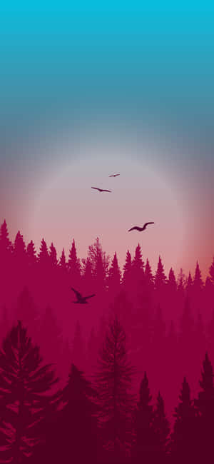 Natteskog — Pixel 8 Bakgrunner