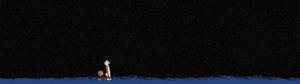 Calvin og Hobbes under millionene av stjerner bakgrunnsbilde — 2560x1440 Bakgrunner