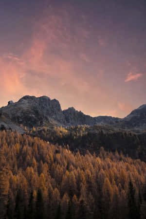 Naturbakgrunn — Xiaomi Pad Bakgrunner