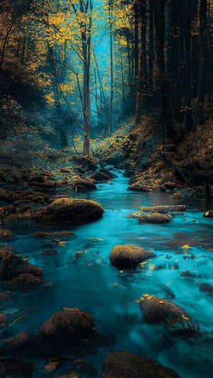 Naturlandskapsbilder