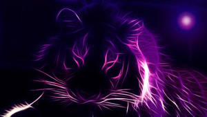 Neon lilla estetisk tigersilhuett — Neon lilla estetikk Bakgrunner