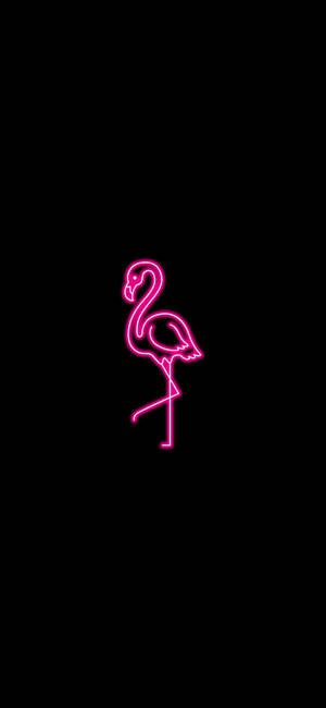 Neon rosa estetisk flamingo bakgrunnsbilde
