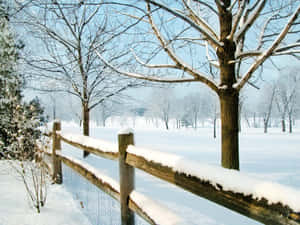 New Hampshire vinter — Vinter Bakgrunner