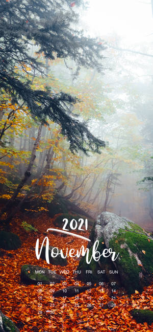 November 2021 Kalender tåkete skog bakgrunnsbilde — iPhone 13 Pro Max Bakgrunner
