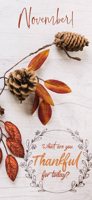 November Takknemlig For I Dag bakgrunnsbilde — iPhone 14 Plus Bakgrunner