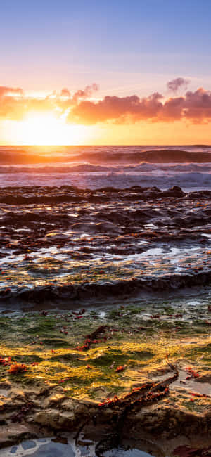 Iphone X California Bakgrunn — Galaxy S25 FE Bakgrunner