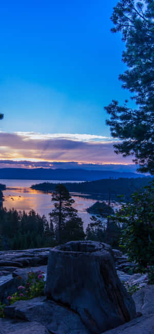Iphone X California Bakgrunn — Vivo S50 Pro mini Bakgrunner