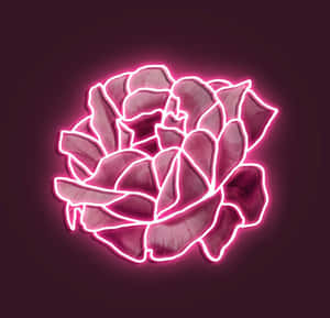 Neonlys rosa estetiske bilder — Neon rosa estetikk Bakgrunner