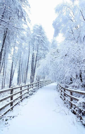 Snow Iphone — Tecno Megapad 11 Bakgrunner
