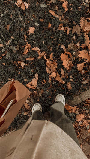 Aesthetic Brown-bilder — Lysebrun estetikk Bakgrunner