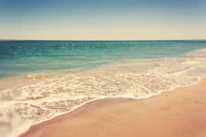 Aesthetic Beach-bilder