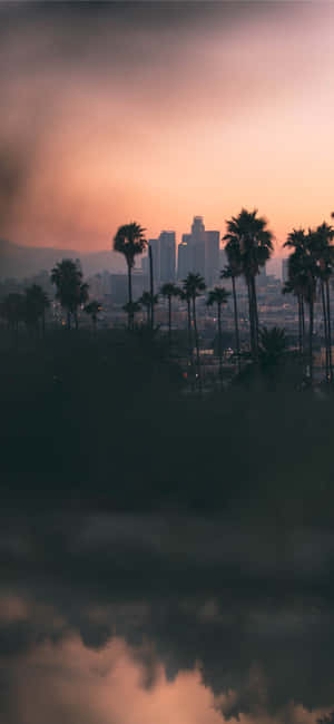 Iphone X California Bakgrunn — Twilight Bakgrunner