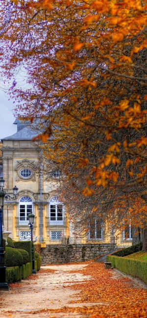iPhone Xs Max høstbakgrunn — Infinix Hot 60 Pro Bakgrunner