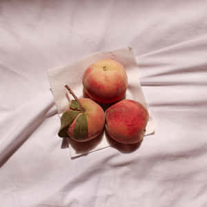 Bakgrunn for ferskener — iPad (A16) Bakgrunner