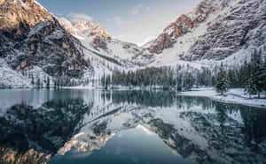 Vakker naturbakgrunn — Vakker natur Bakgrunner
