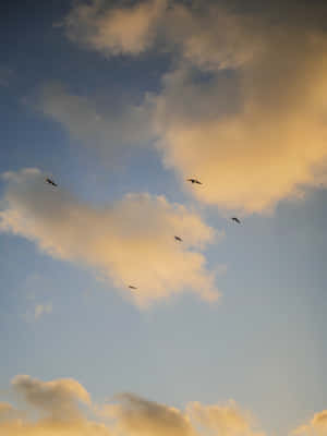 Estetiske himmelbilder — Estetisk himmel Bakgrunner