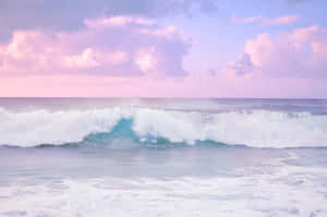 Aesthetic Beach bilder