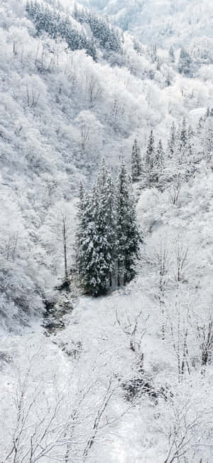 Snø Iphone — iPhone 18 Pro Bakgrunner