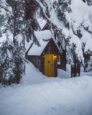 Snøestetiske bilder — Snøestetikk Bakgrunner