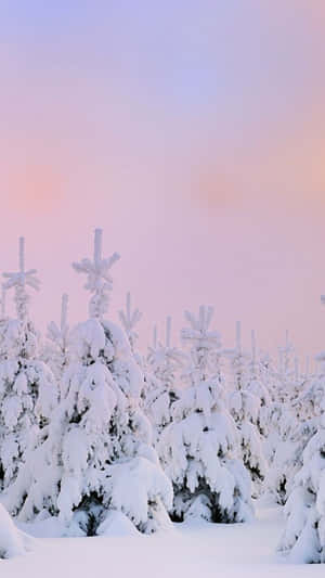 Snøestetiske bilder — Snøestetikk Bakgrunner