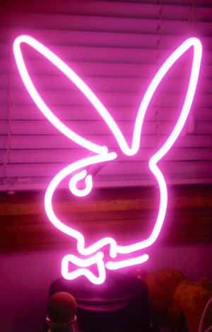 Neongulrød estetikk bilder — Neon rosa estetikk Bakgrunner