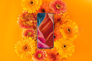 Oppo Smarttelefon og Blomstrende Flora