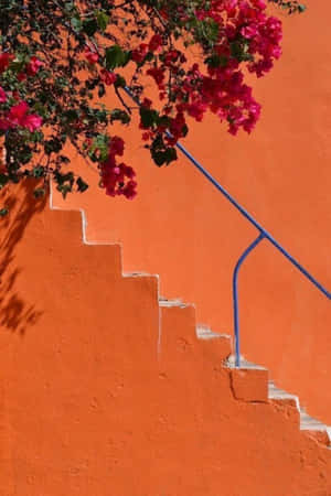 Oransje estetikk bilder — Oransje estetikk GIF Bakgrunner