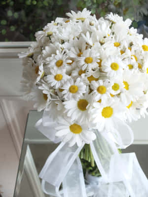 Bukettbilder — Blomsterestetikk Bakgrunner