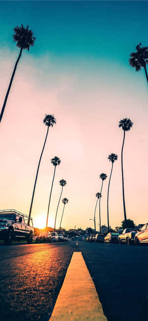 California Summer — Xiaomi 18 Pro Bakgrunner