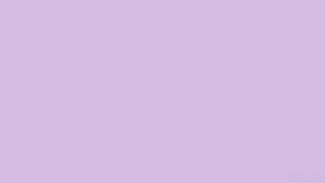Pastelllilla bakgrunn — Pastell lilla Bakgrunner