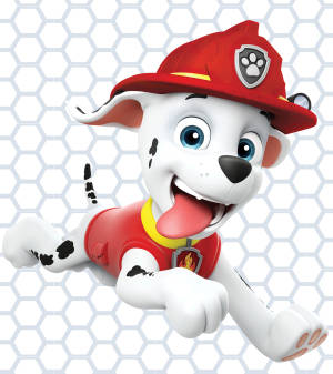 Paw Patrol Marshall bakgrunnsbilde — Oppo Find N Bakgrunner