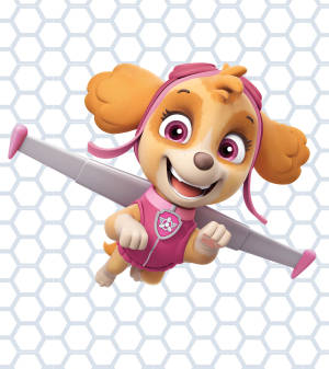 Paw Patrol Skye bakgrunnsbilde — Oppo Find N Bakgrunner