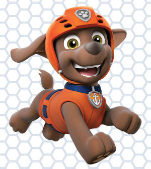 Paw Patrol vannredder Zuma bakgrunnsbilde — Oppo Find N5 Bakgrunner