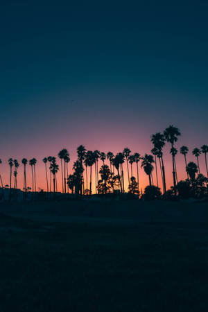Solnedgang iPad Mini — iPad Mini Bakgrunner