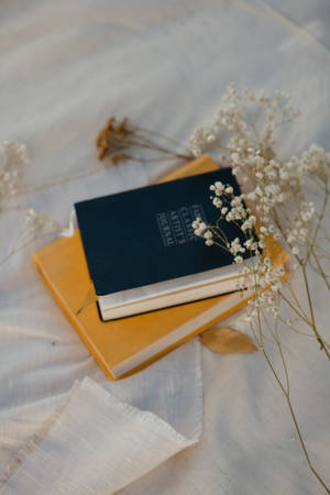 Preppy estetikk med baby's breath bakgrunnsbilde — Preppy-estetikk Bakgrunner