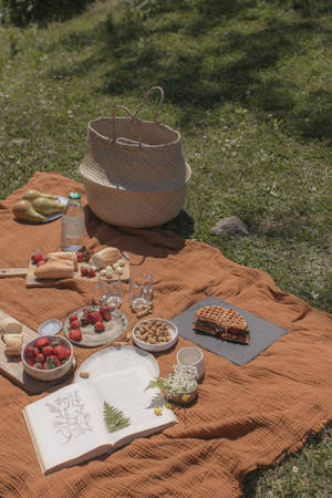 Preppy estetisk piknik bakgrunnsbilde — Preppy-estetikk Bakgrunner