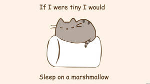 Pusheen Sleeping On Marshmallow bakgrunn — Enkelt Bakgrunner