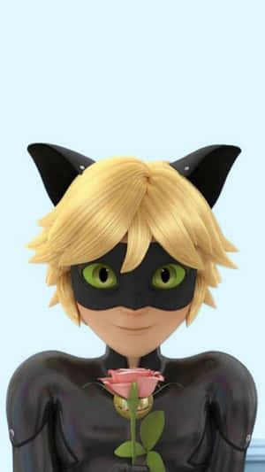 Cat Noir-bilder