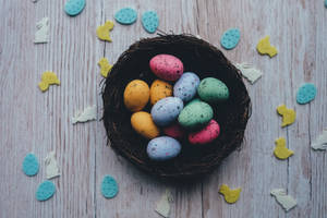 Påskepynt av fargerike påskevaktel-egg, påskebakgrunnsbilde