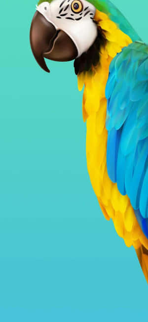 1179x2556 — Pixel 10 Pro Bakgrunner