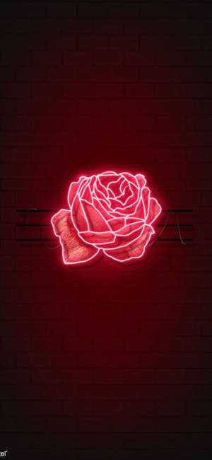 Rød rose LED-lys bakgrunnsbilde — iPhone 11 Pro Bakgrunner