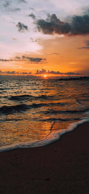 Rolig strandscene vist på iPhone X-skjerm — ZTE Blade V Bakgrunner