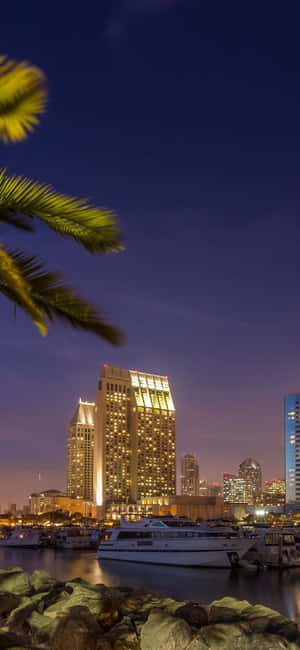 San Diego iPhone [bakgrunn] — Realme 15 Bakgrunner