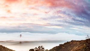 Kjent bro i San Francisco for Macbook