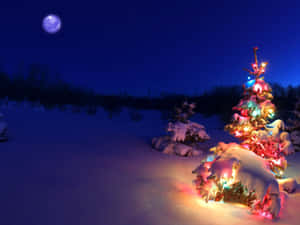 A Christmas Carol bakgrunn — En julefortelling Bakgrunner