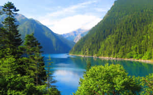 Vakker naturbakgrunn — Vakker natur Bakgrunner